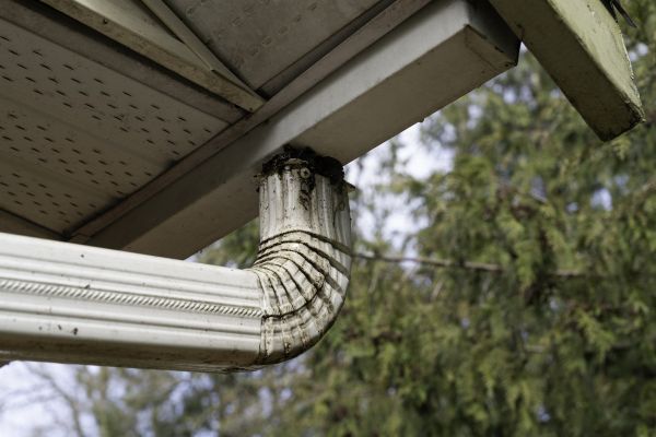 Cost of Roof Drain Replacement in Walla Walla