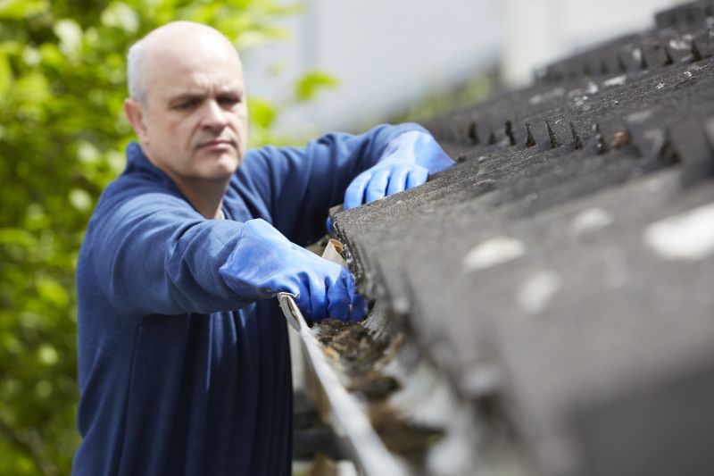 Preventative Gutter Care